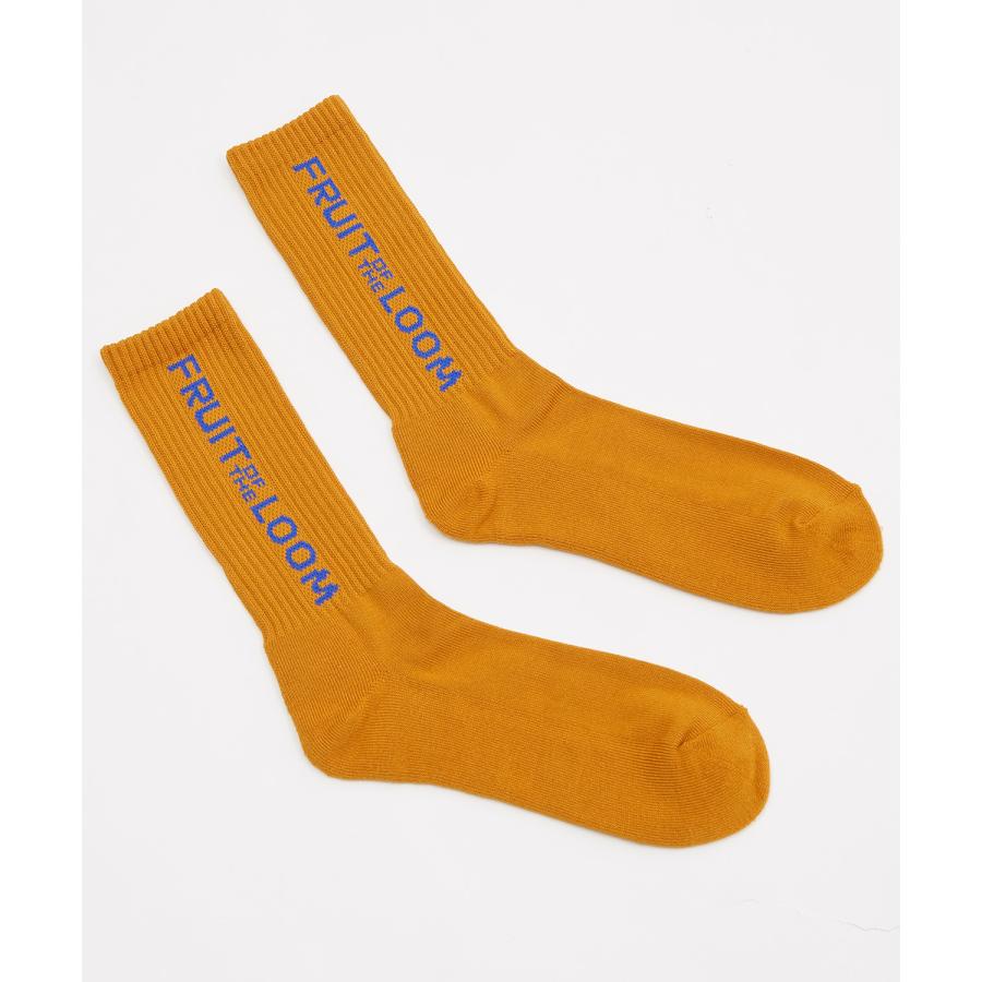 ソックス メンズ FRUIT OF THE LOOM/フルーツオブザルーム 3足セット ブランドロゴ ソックス バイカラー ミドルソックス スニーカーソックス 靴下 くつした | Dickies | 02