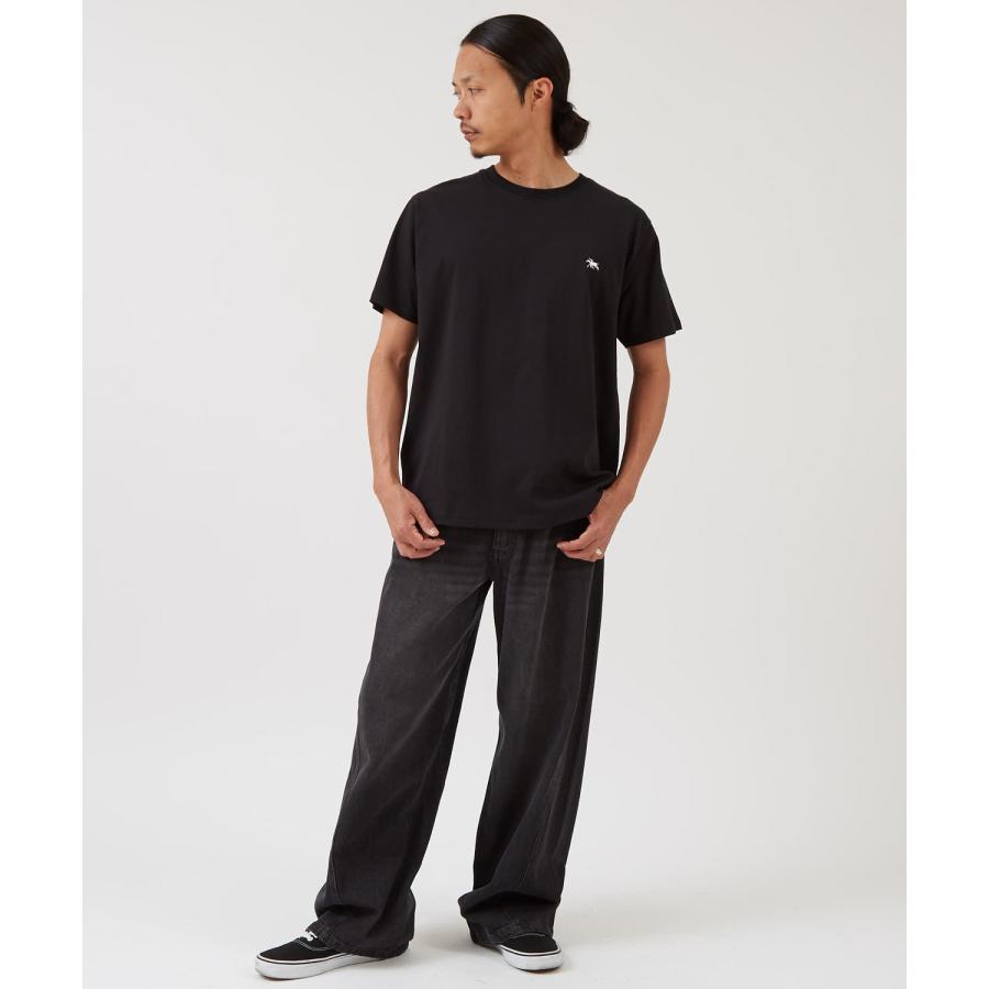 半袖Tシャツ メンズ POLOCHAMPS バッグロゴ ポニー カットソー 大きめ カジュアル ストリート ブラック チャコール ホワイト | improves | 14