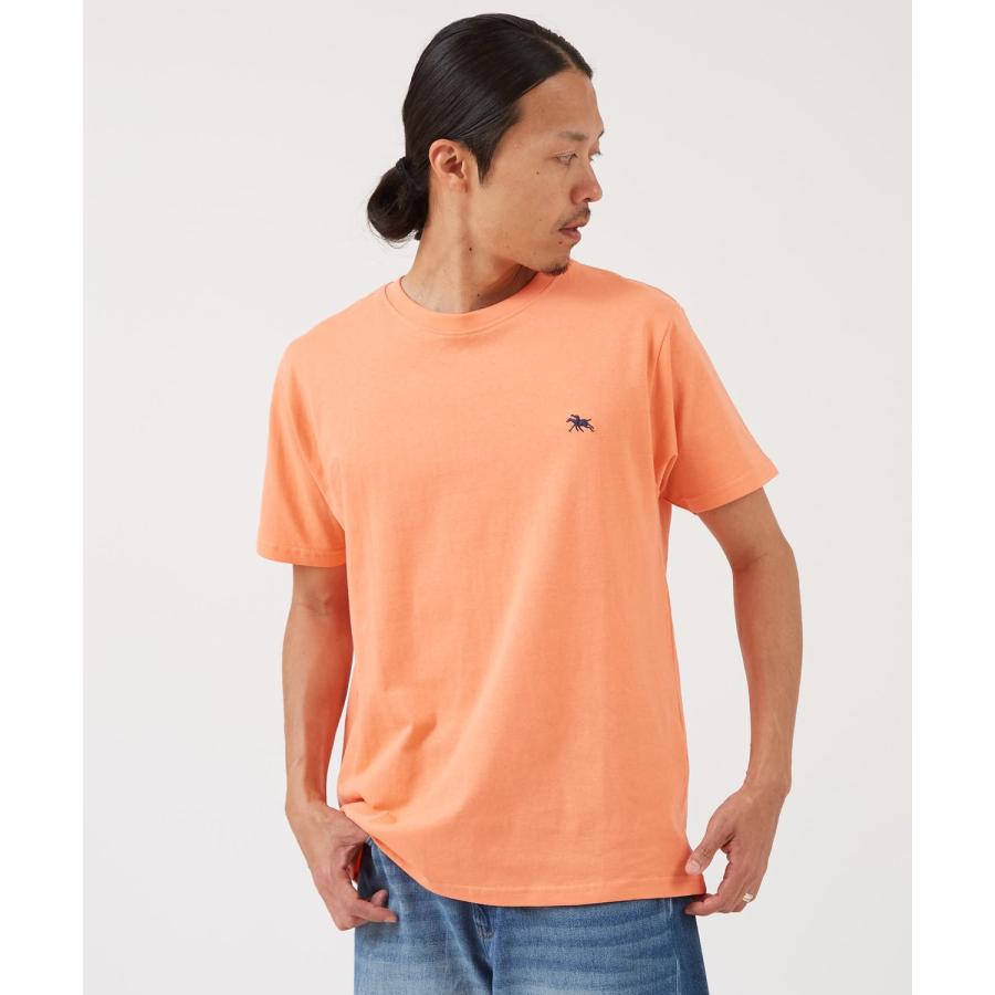 半袖Tシャツ メンズ POLOCHAMPS バッグロゴ ポニー カットソー 大きめ カジュアル ストリート ブラック チャコール ホワイト | improves | 23