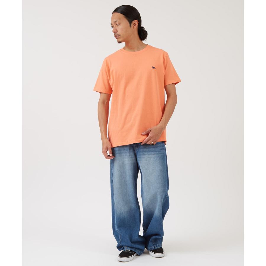 半袖Tシャツ メンズ POLOCHAMPS バッグロゴ ポニー カットソー 大きめ カジュアル ストリート ブラック チャコール ホワイト | improves | 25
