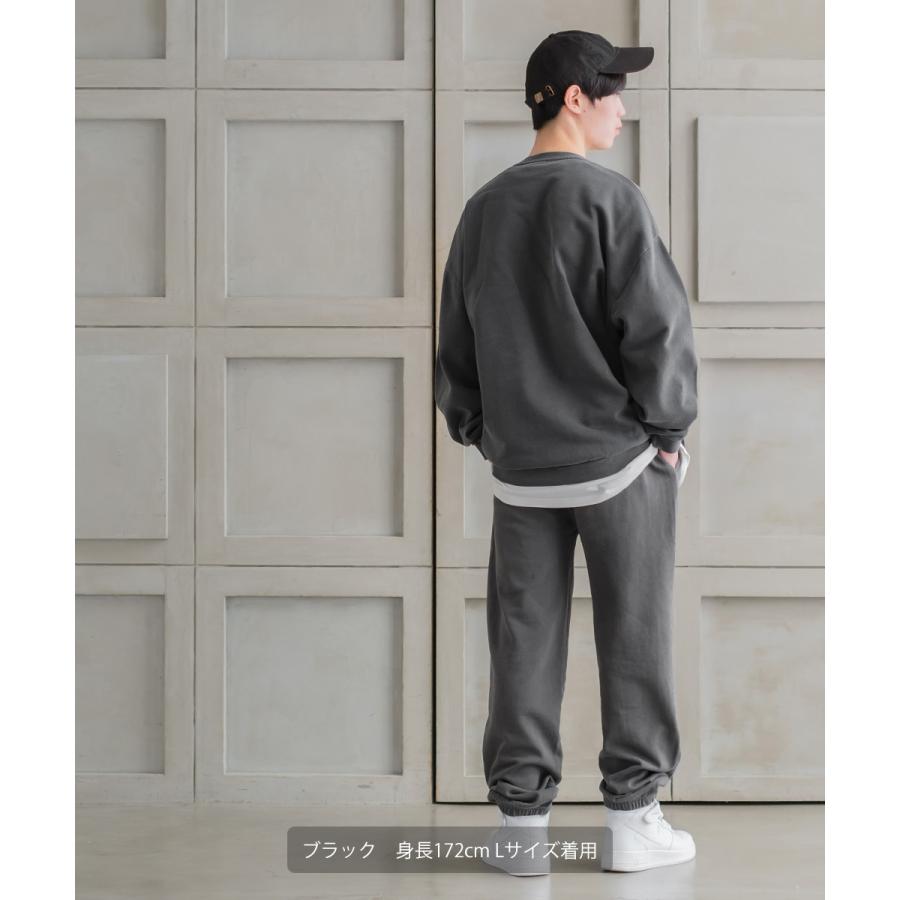 improves（インプローブス） 【セットアップ対応】ピグメント ビッグ