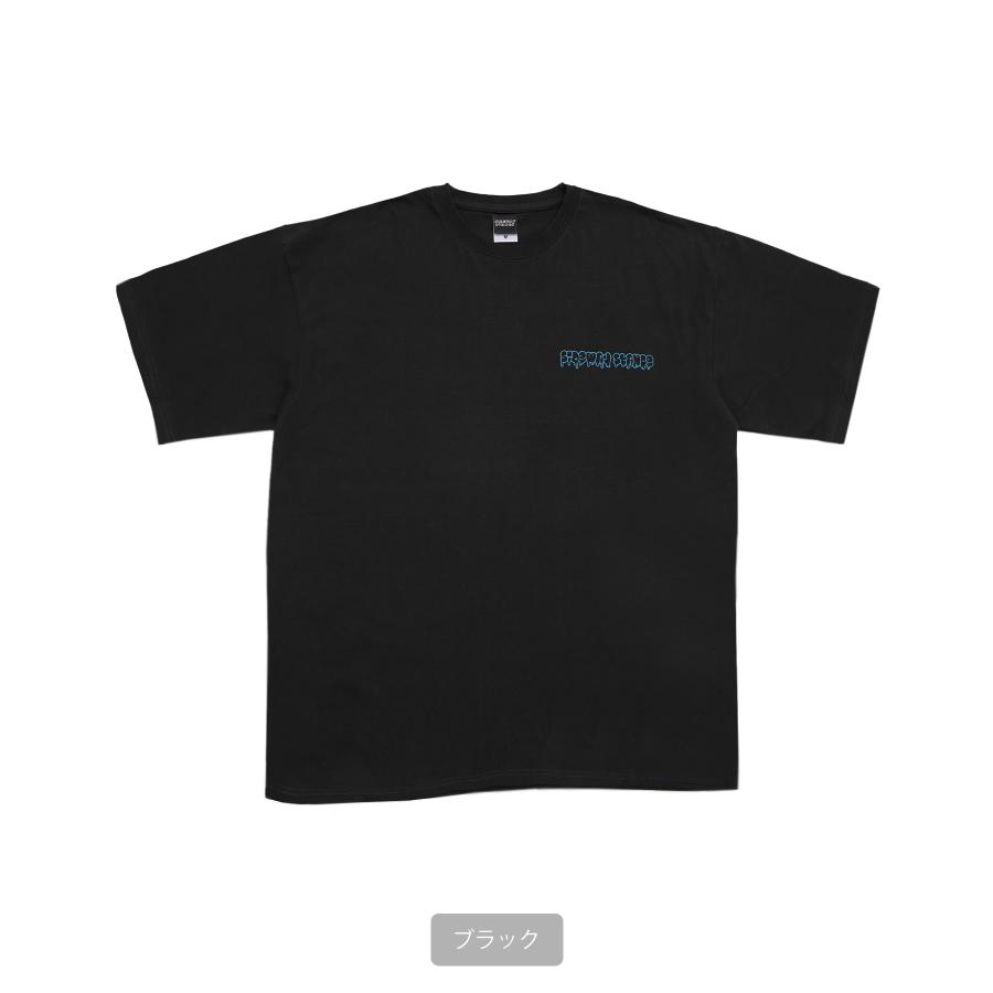 半袖Tシャツ メンズ SIDEWAY STANCE サイドウェイスタンス オリジナルプリント グラフィック ドリップロゴ タギングロゴ オーバーサイズ 大きめ | improves | 19