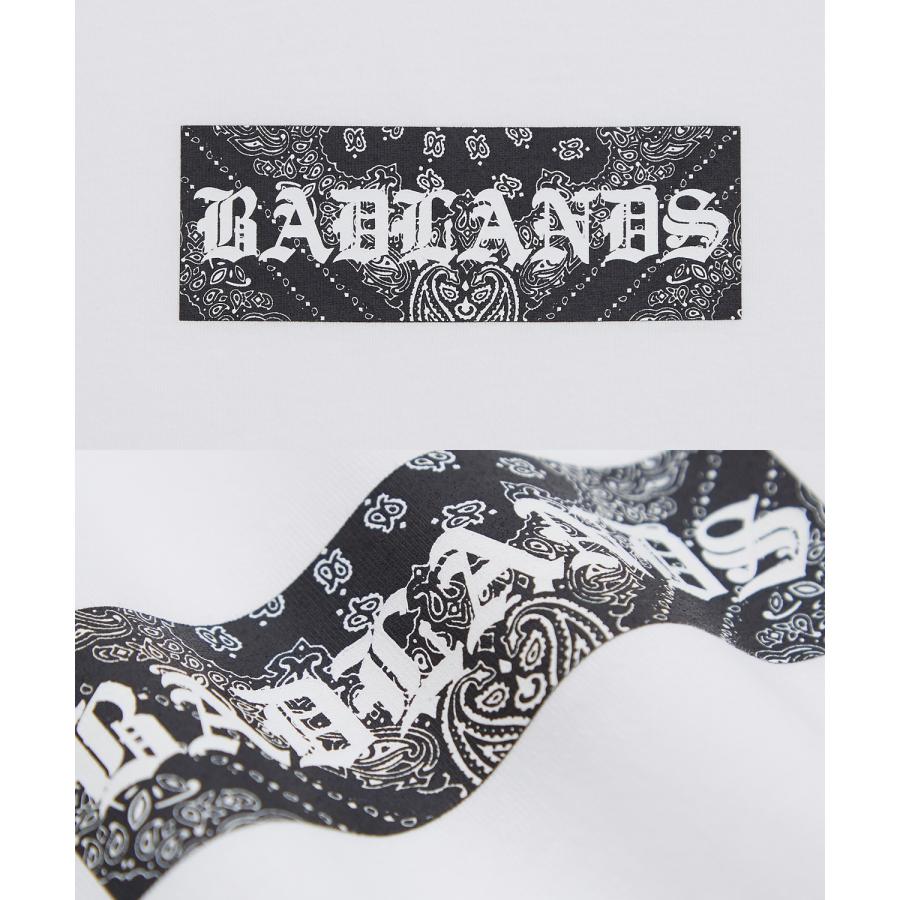 長袖Tシャツ メンズ SIDEWAY STANCE サイドウェイスタンス オリジナルプリント ペイズリーボックスロゴ グラフィック ロンT アメカジ スケーター ストリート | improves | 23