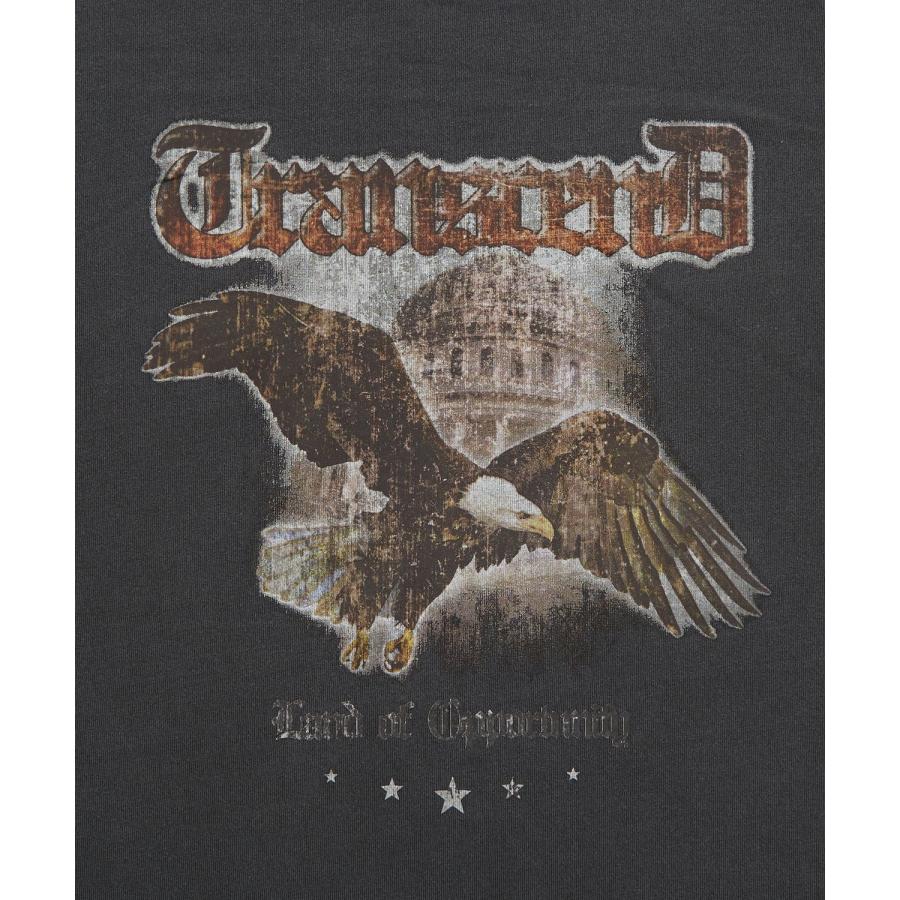 半袖Tシャツ メンズ SIDEWAY STANCE サイドウェイスタンス プリント ピグメント イーグル カットソー アメカジ スケーター ストリート 古着MIX | improves | 16