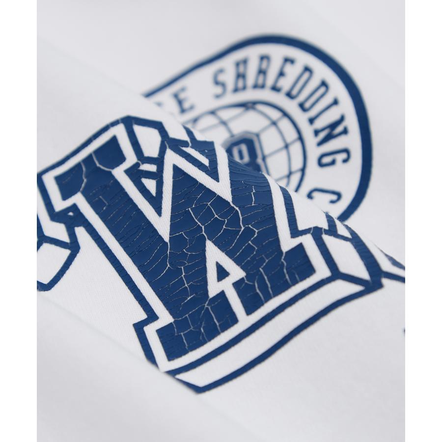 半袖Tシャツ メンズ SIDEWAY STANCE サイドウェイスタンス クラックプリント カレッジロゴ カットソーアメカジ カジュアル スケーター ストリート 古着 | improves | 23