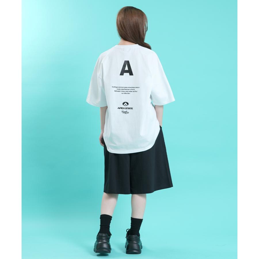 Tシャツ メンズ SIDEWAY STANCE サイドウェイスタンス 半袖 カットソー バックプリント アメカジ カジュアル スケーター ストリート 古着MIX 韓国ファッション | improves | 13