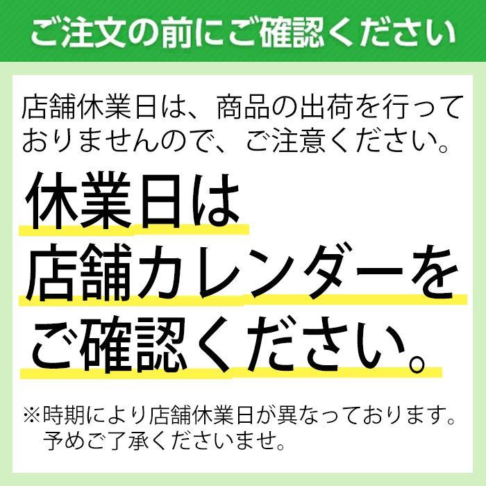 【2022年製】205/65R16 ANTARES/アンタレス INGENS A1 サマータイヤ スポーツ系タイヤ 街乗り タイヤ 新品 1本｜in-field｜07