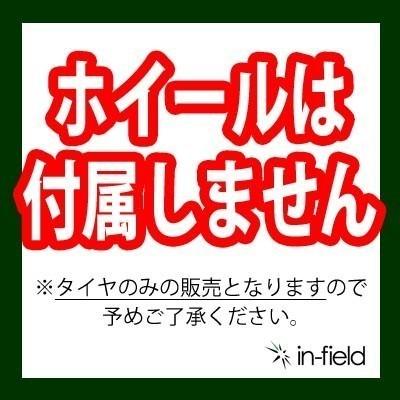 2025年製 255/40R20 101H 激安 激安タイヤ スタッドレスタイヤ ANTARES/アンタレス GRIP WP タイヤ 新品1本の画像