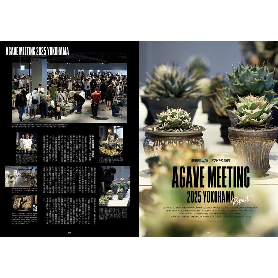 INDOOR JUNGLE （インドアジャングル）No.06 ビカクシダ、新表現の胎動