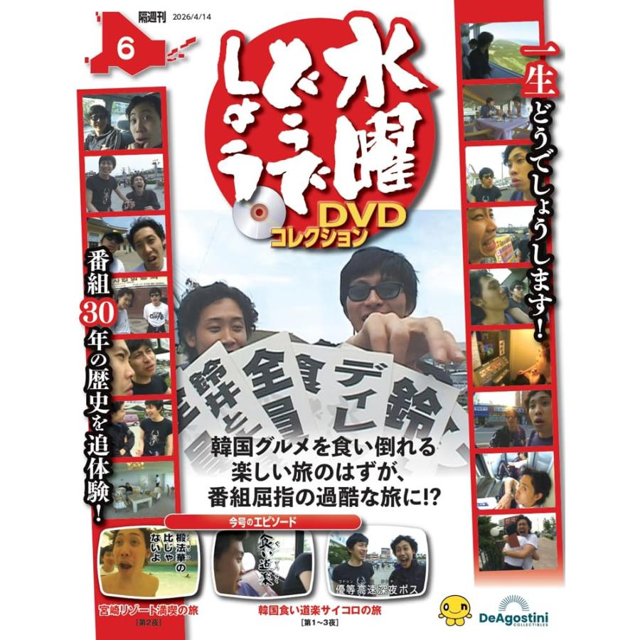 水曜どうでしょう DVDコレクション 第6号 (宮崎リゾート満喫の旅 第2夜