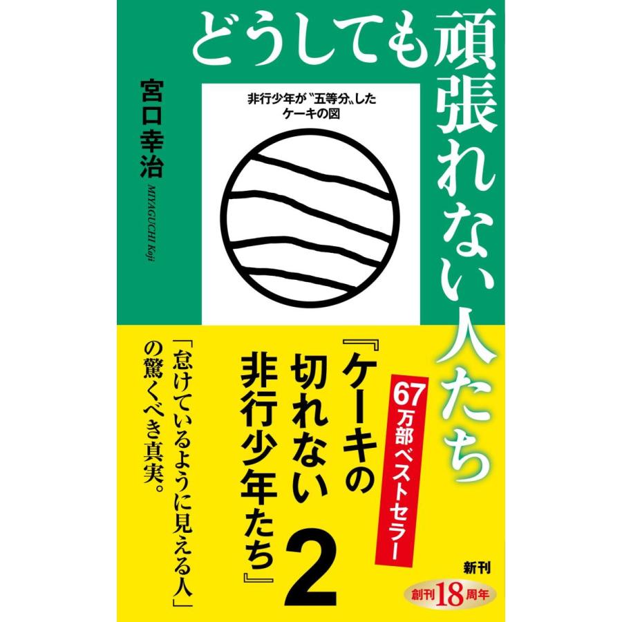 どうしても頑張れない人たち ケーキの切れない非行少年たち2 新潮新書