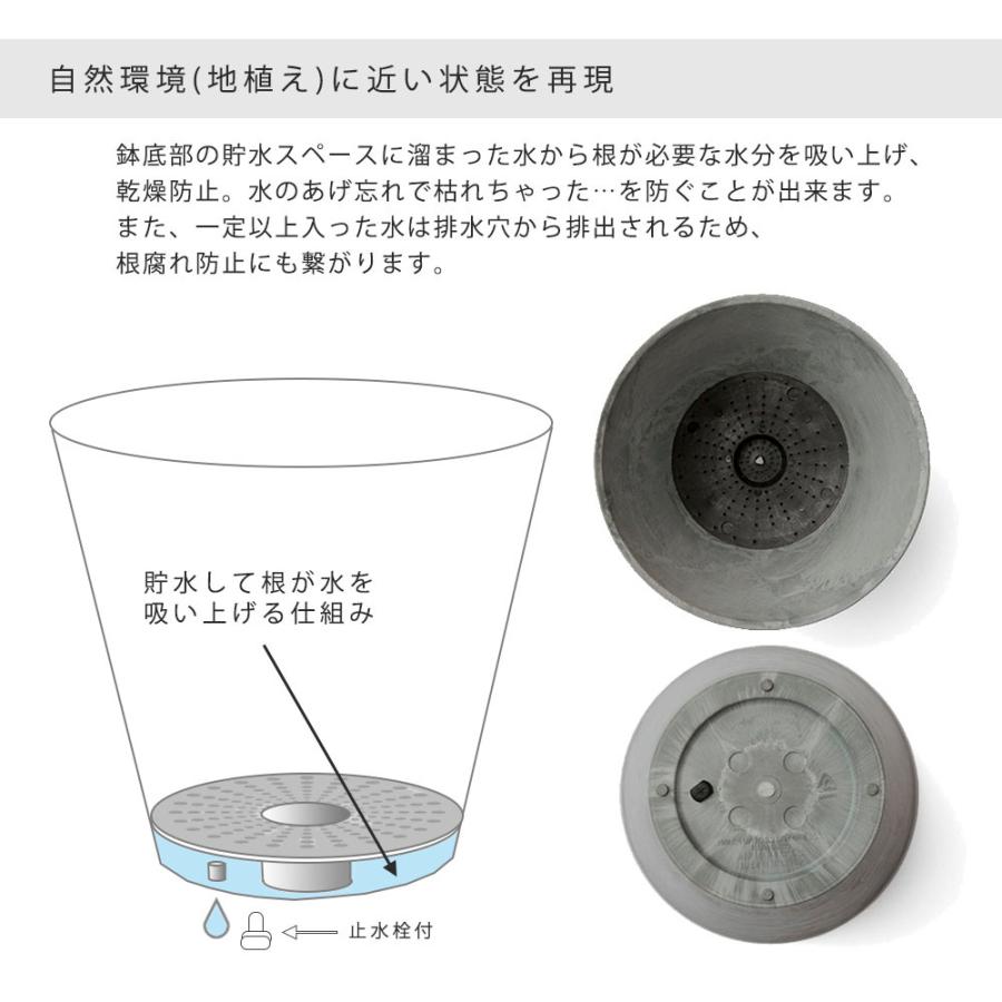 Amabro アートストーン プランター Ll 鉢 12 13号 貯水タイプ 水やり忘れ防止 植木鉢 観葉植物 花 多肉植物 ハーブ 鉢植え Art Stone ガーデニング Amaartstonell Instore インストア 通販 Yahoo ショッピング