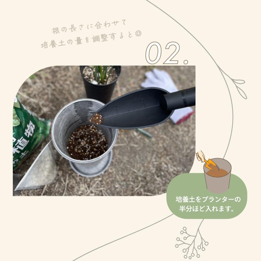 amabro（アマブロ） アートストーン プランター LL 鉢 12-13号 貯水