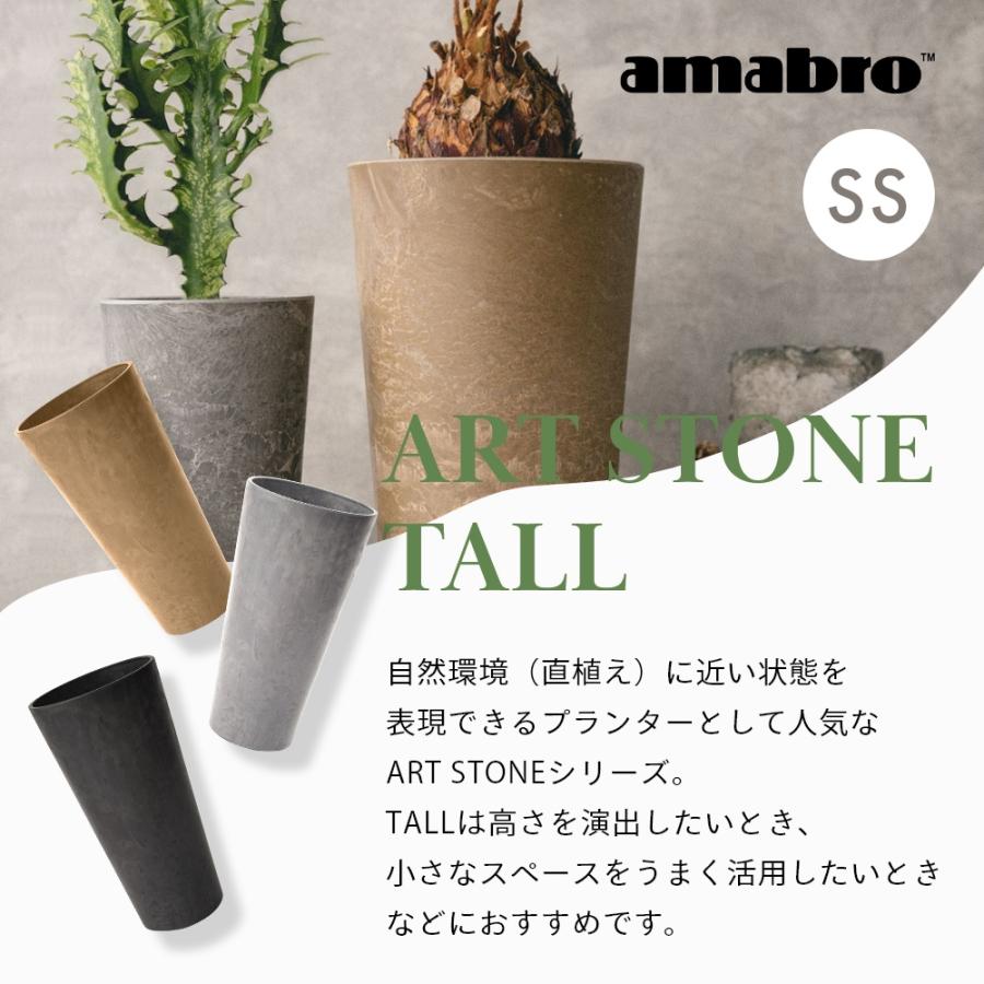 amabro（アマブロ） アートストーン トール TALL 鉢 SSサイズ