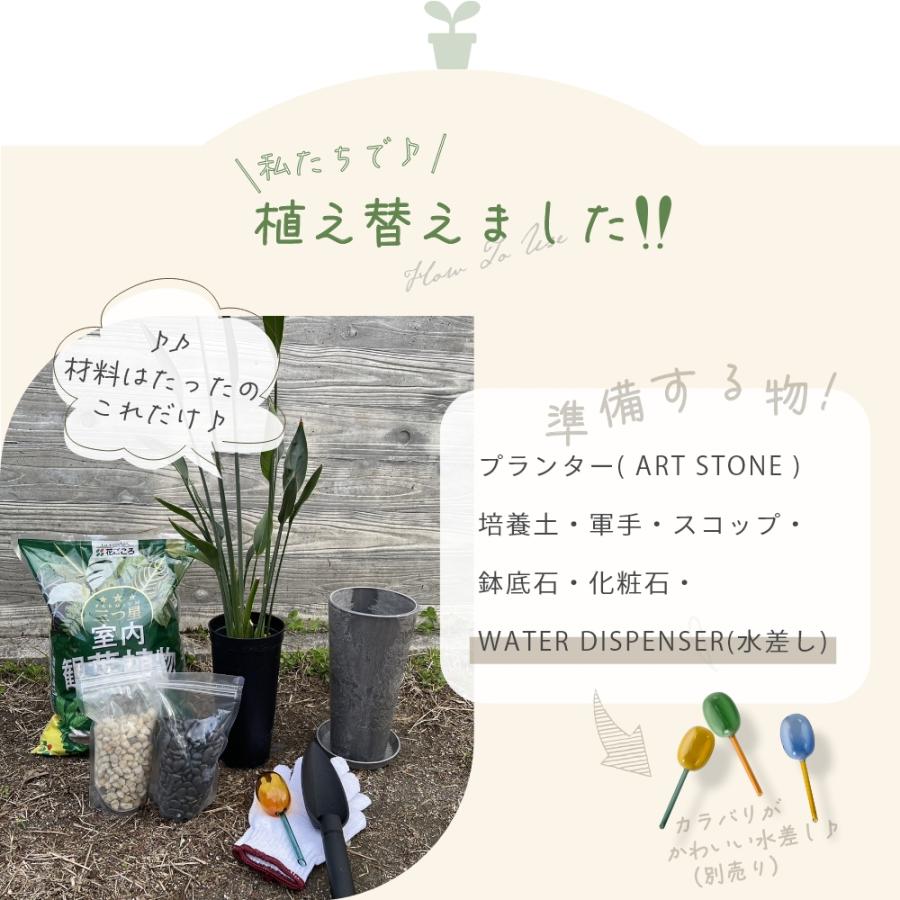 amabro（アマブロ） アートストーン 鉢＆受皿セット プランター L 鉢