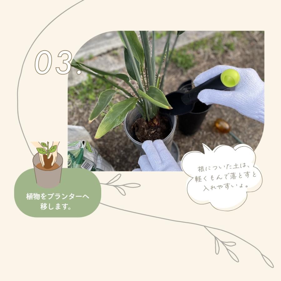 植木鉢 おしゃれ amabro アートストーン Mサイズ　セット 楽天市場】【1月15日最大ポイント10倍祭】＼楽天1位／ 植木鉢 amabro