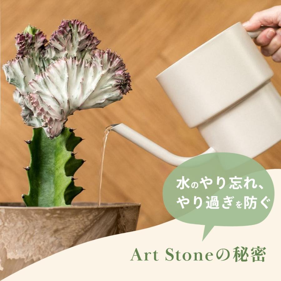 amabro（アマブロ） アートストーン 鉢＆受皿セット プランター S 鉢 7