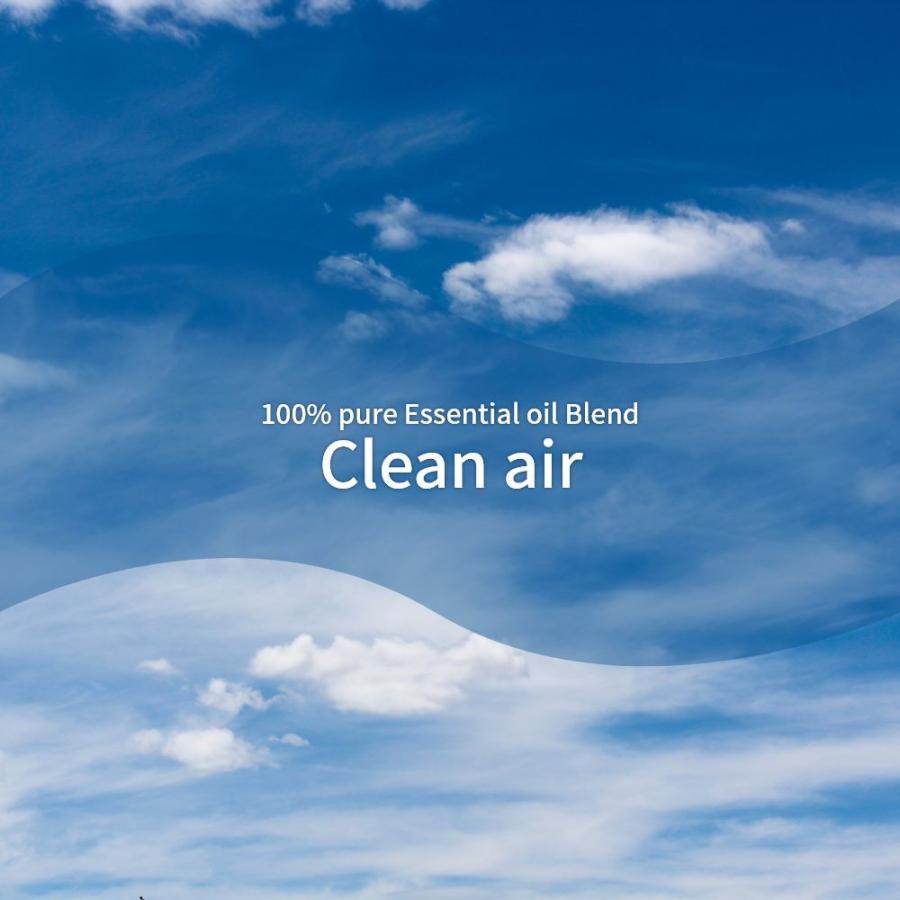 アットアロマ クリーンエアー エッセンシャルオイル 精油 250ml C01