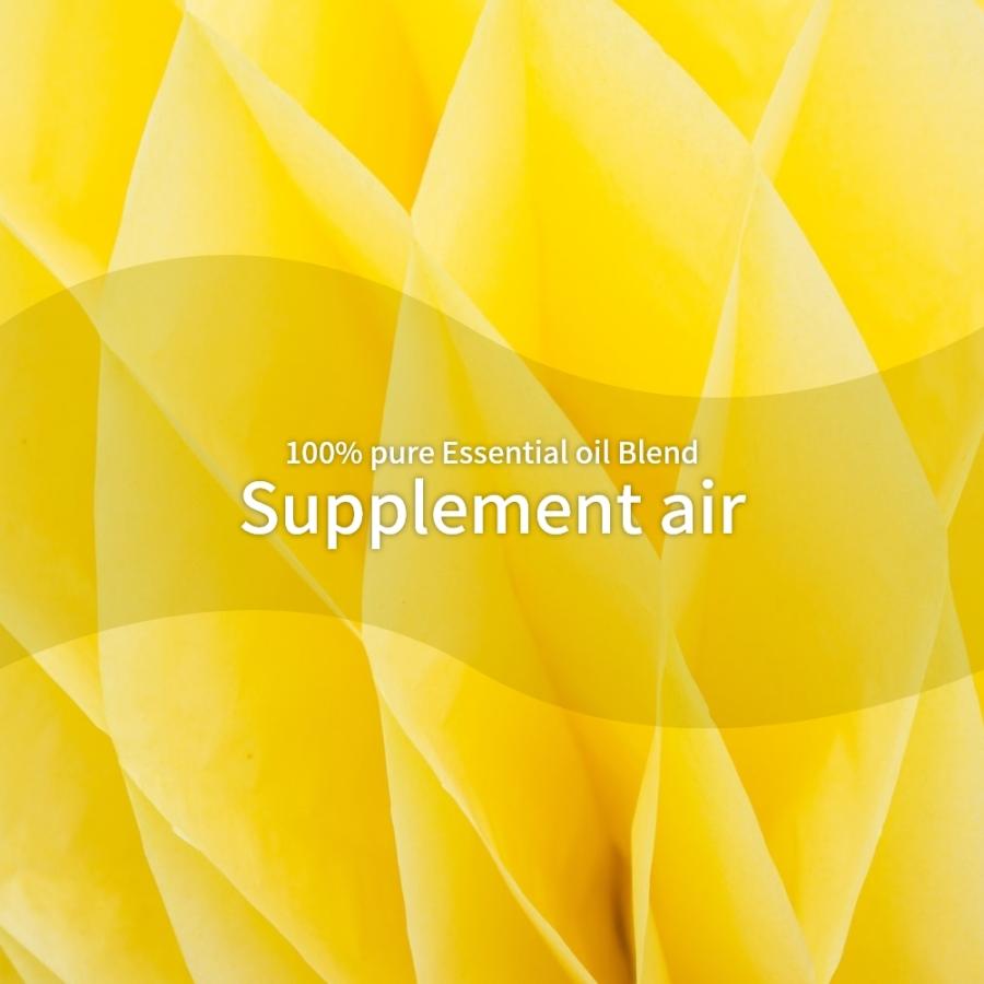アットアロマ サプリメントエアー エッセンシャルオイル 精油 10ml S02