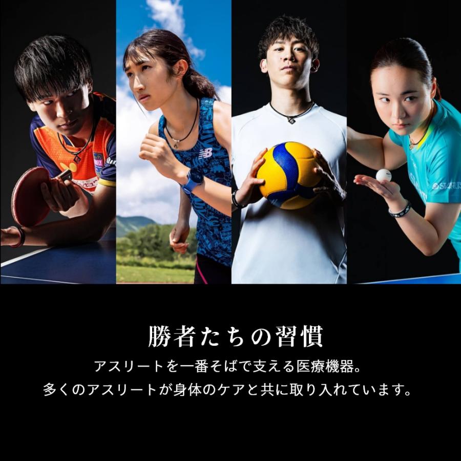 ColanTotte コラントッテ 高級 磁気 ネックレス THEO series ColanTotte コラントッテ 高級 磁気 ネックレス THEO series