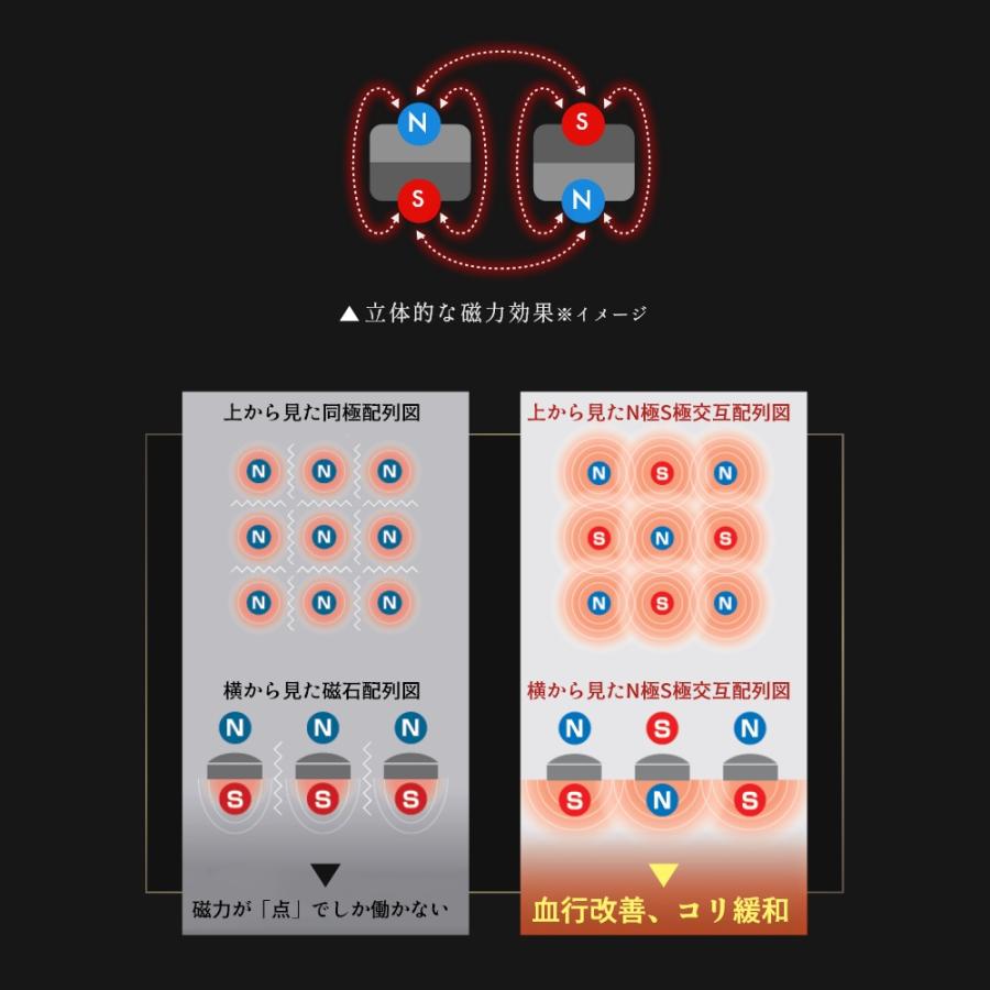 コラントッテ SPORTS PRO マグチタンネックレス 磁気ネックレス ブラック | ColanTotte | 05