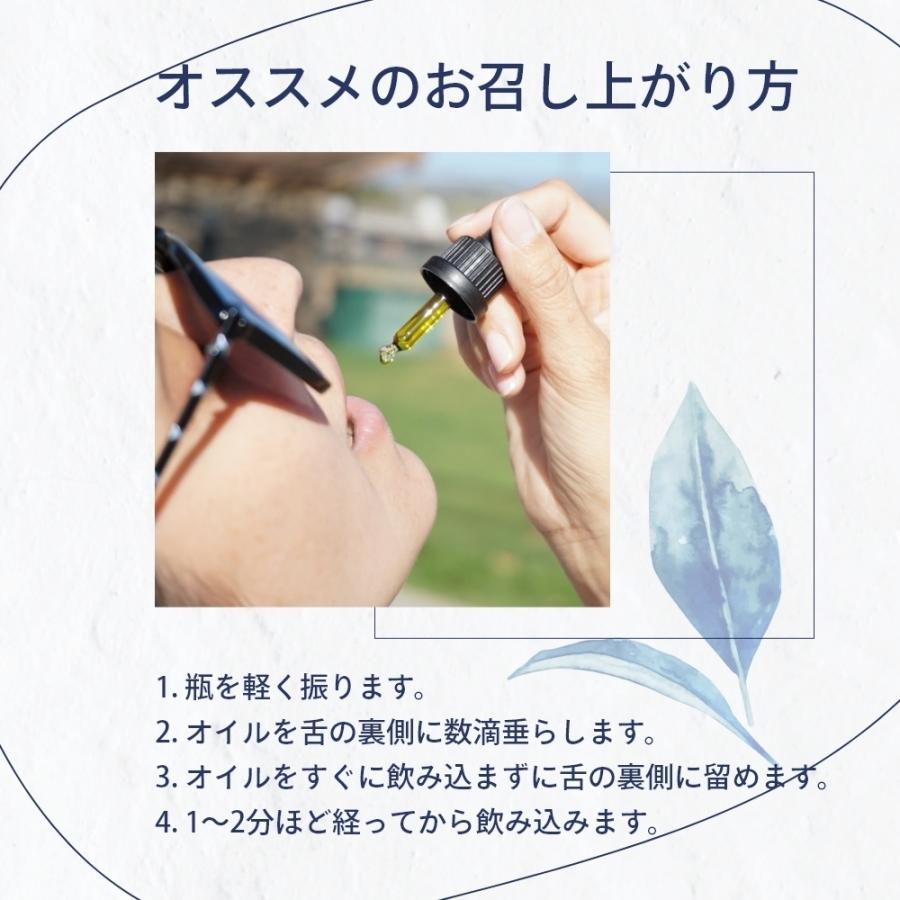 エリクシノールCBD ティンクチャー3000 エリクシノール CBD ティンクチャー 3000 | CBDオイル