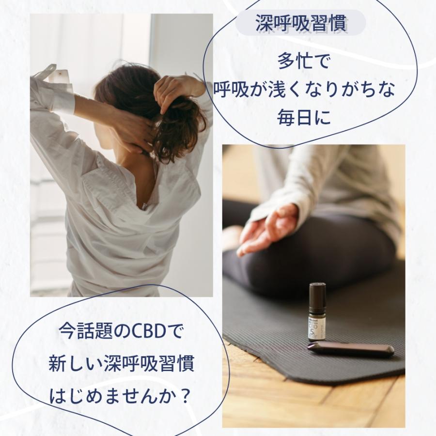エリクシノール KIWI Spark 本体 VAPEペン ベイプ リキッド オイル CBD