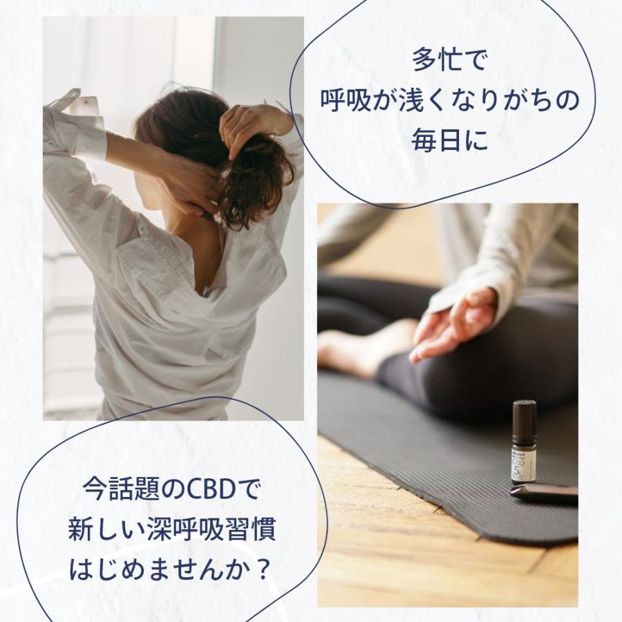 【新品】　シルキン　Silk'n 　交換用カートリッジ　3PACK 新品】 シルキン Silk'n 交換用カートリッジ 3PACK