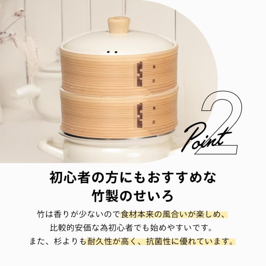富士ホーロー せいろ付きホーロー鍋 20cm 2段 父の日 : INSTORE イン