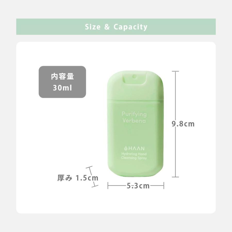 HAAN ハーン 本体+専用ケースセット アルコール消毒 手指消毒 除菌