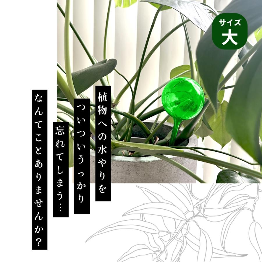 自動水やり器 自動 ウォーターディスペンサー 自動水差し 家庭用 植物