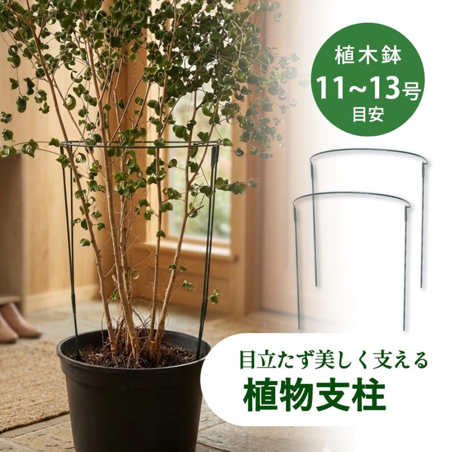 組立式 植物支柱 園芸支柱 半円 11?13号対応 1set（2個）観葉植物 園芸