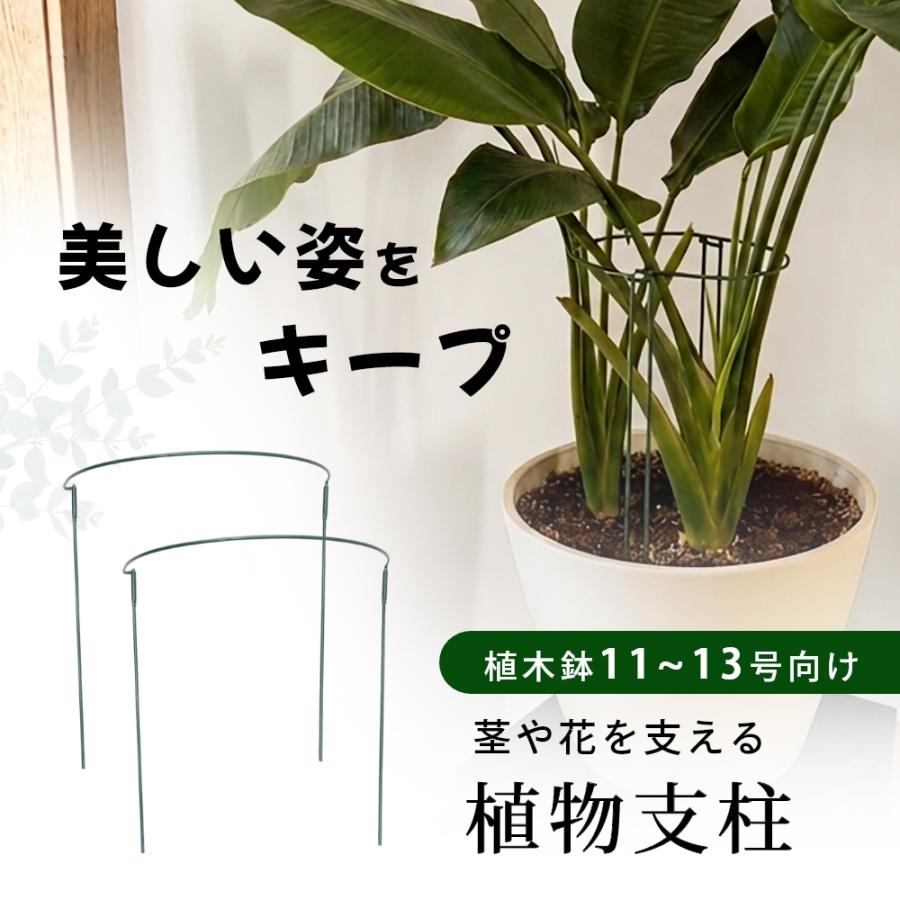 組立式 植物支柱 園芸支柱 半円 11?13号対応 1set（2個）観葉植物 園芸