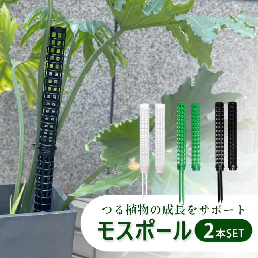 モスポール 支柱 植物支柱 園芸支柱 土台 つる性植物 園芸 観葉植物