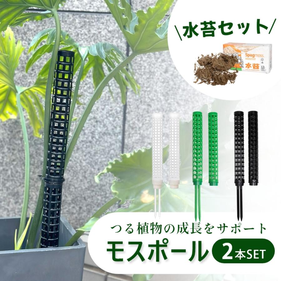モスポール 支柱 植物支柱 園芸支柱 土台 つる性植物 園芸 観葉植物
