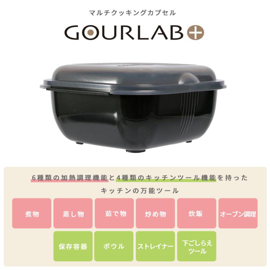 Iwatani（イワタニ） グルラボプラス パーソナルセット 電子レンジ調理