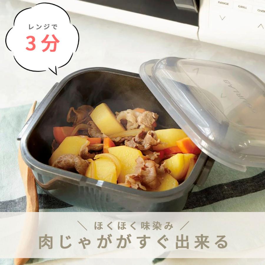 Iwatani（イワタニ） グルラボプラス パーソナルセット 電子レンジ調理