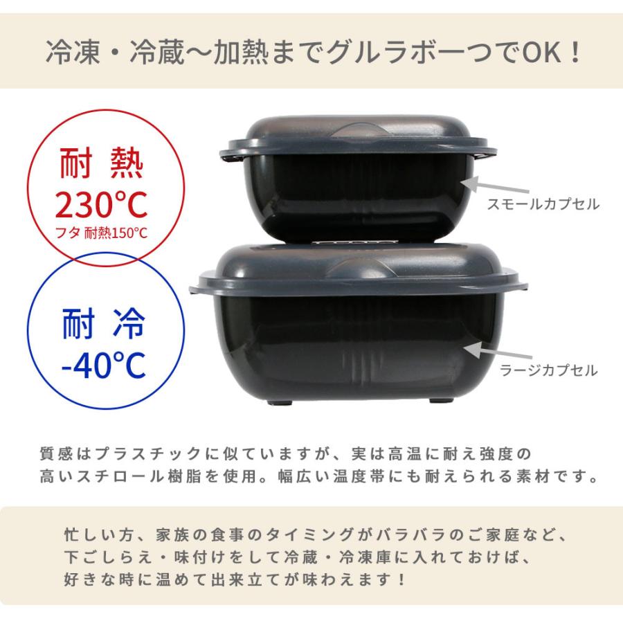 Iwatani（イワタニ） グルラボプラス パーソナルセット 電子レンジ調理
