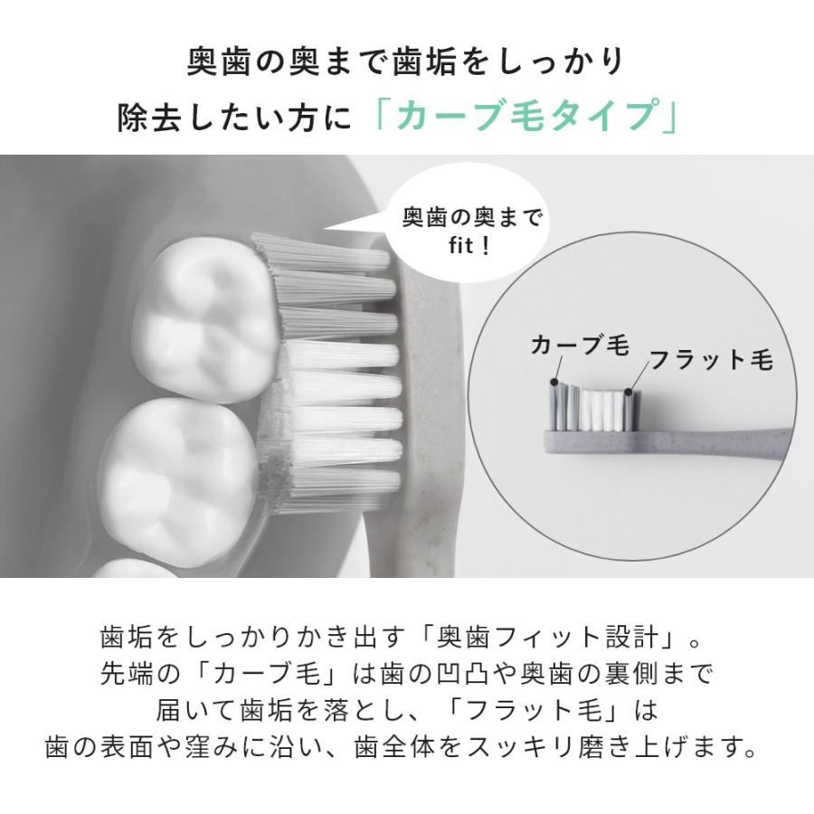 marna（マーナ） fit歯ブラシ カーブタイプ 先細タイプ : INSTORE イン