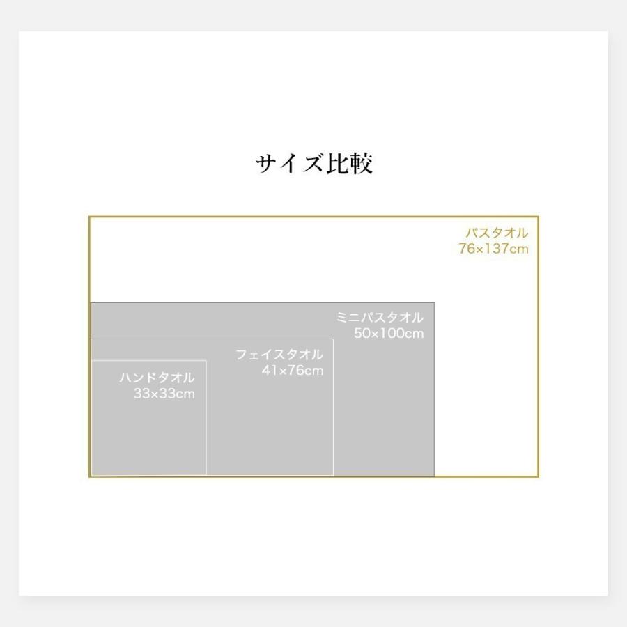 マイクロコットン ボックスギフト ラグジュアリー バスタオル1枚 MicroCotton LUXURY Series 父の日_10
