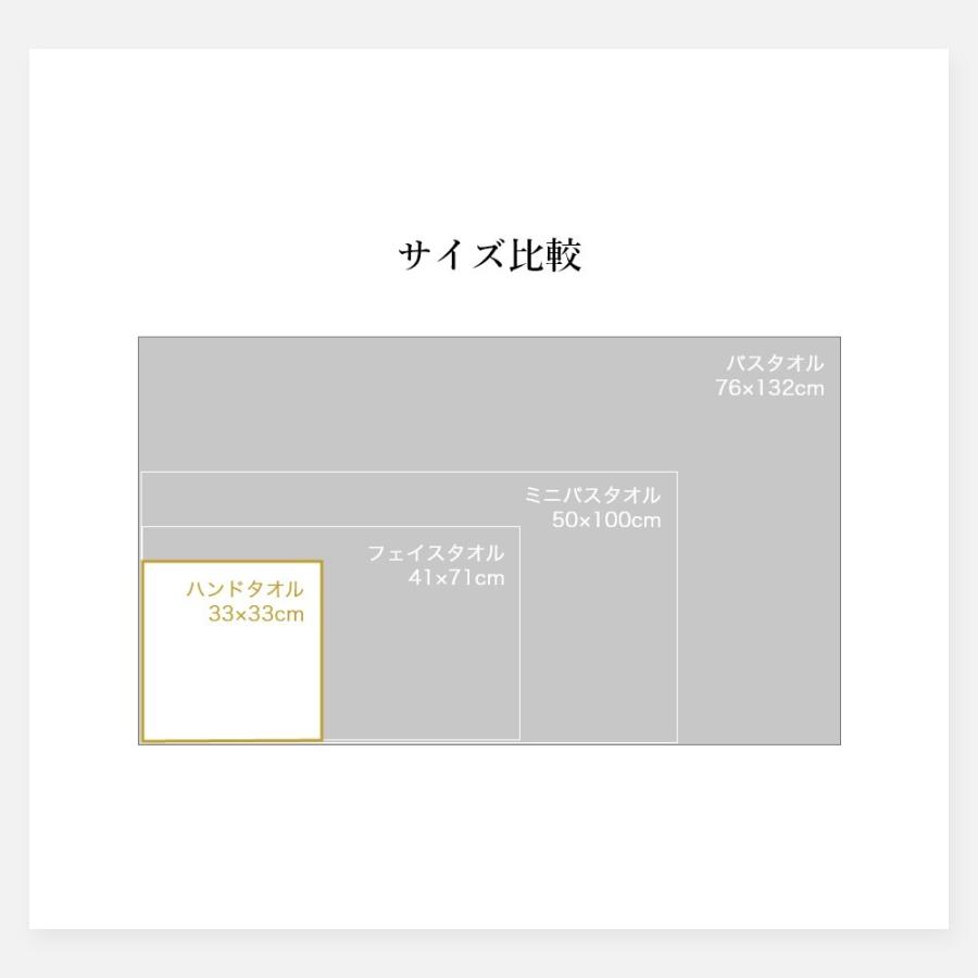 マイクロコットン ボックスギフト レギュラー ハンドタオル3枚 MicroCotton REGULAR Series｜in-store｜11