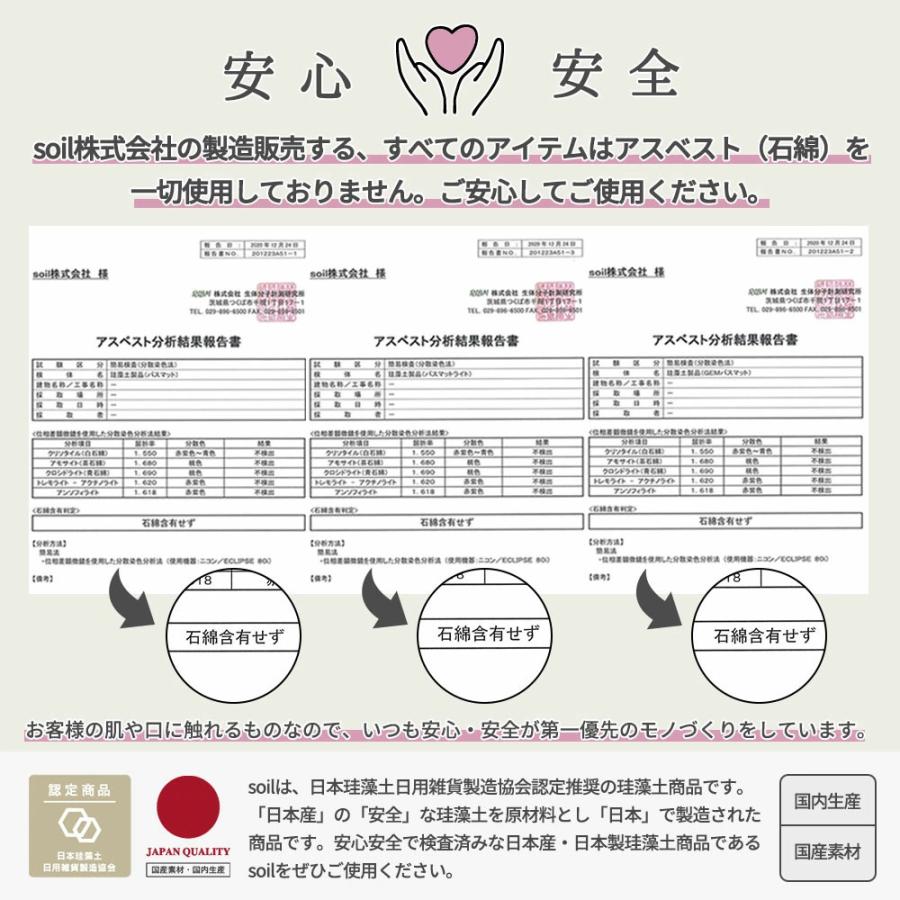 soil ソイル 珪藻土バスマット ラージ BATH MAT large 母の日の画像