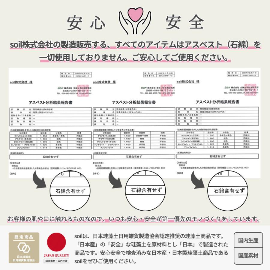 Soil ソイル DRYING BOARD ドライングボード light Lサイズ 吸水 乾燥剤 調湿剤 手袋 キッチン オシャレ イスルギ 吸湿 珪藻土 母の日の画像