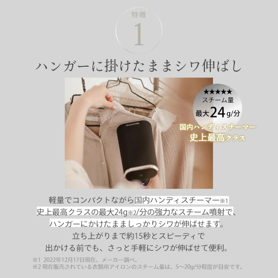 SteamOne スチームワン 衣類スチーマー FOLDABLE フォルダブル