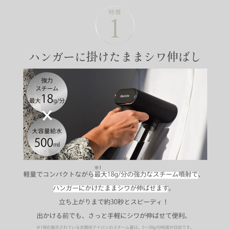 SteamOne Foldable スチームアイロン　保証期間内 Steam One スチームワン 衣類スチーマー S Nomad エスノマド