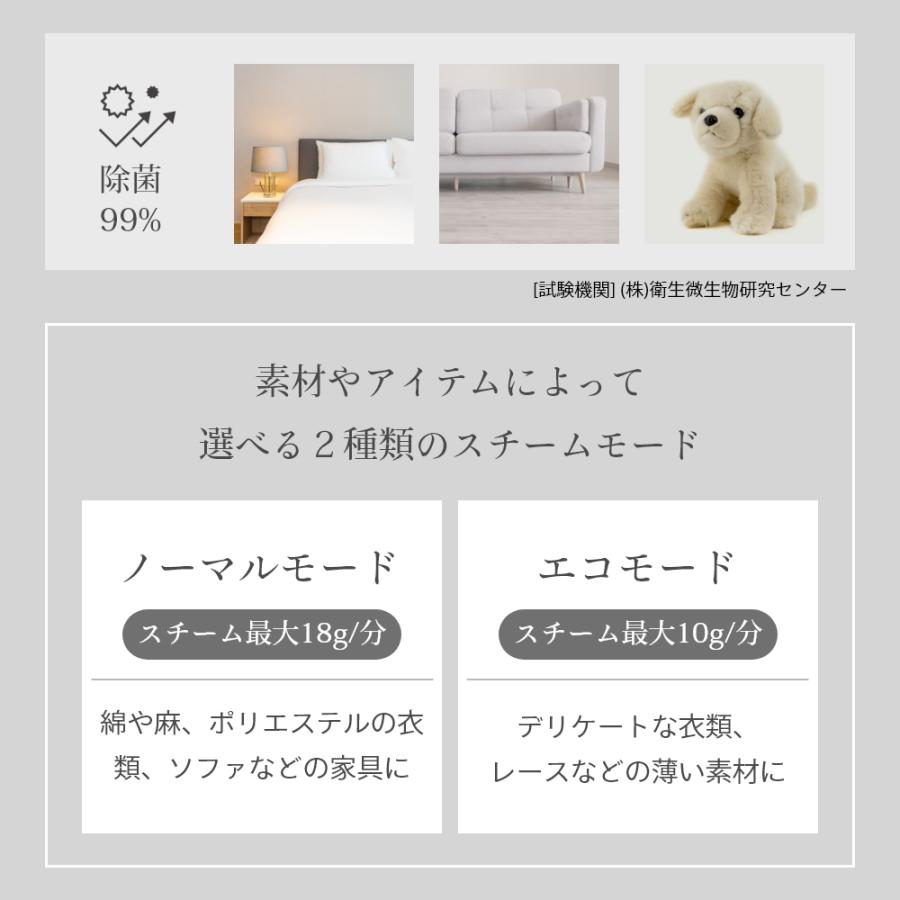 Steam One スチームワン 衣類スチーマー S Nomad エスノマド 保証1年