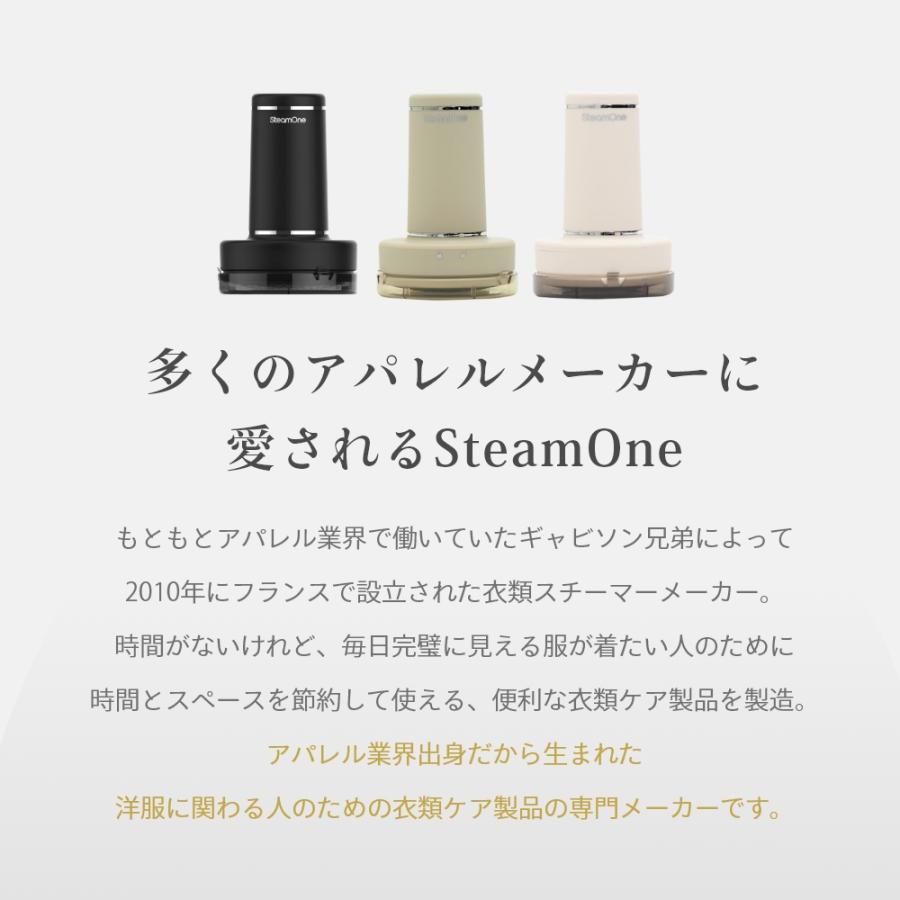 Steam One スチームワン 充電式毛玉取り Anti lint shaver 父の日