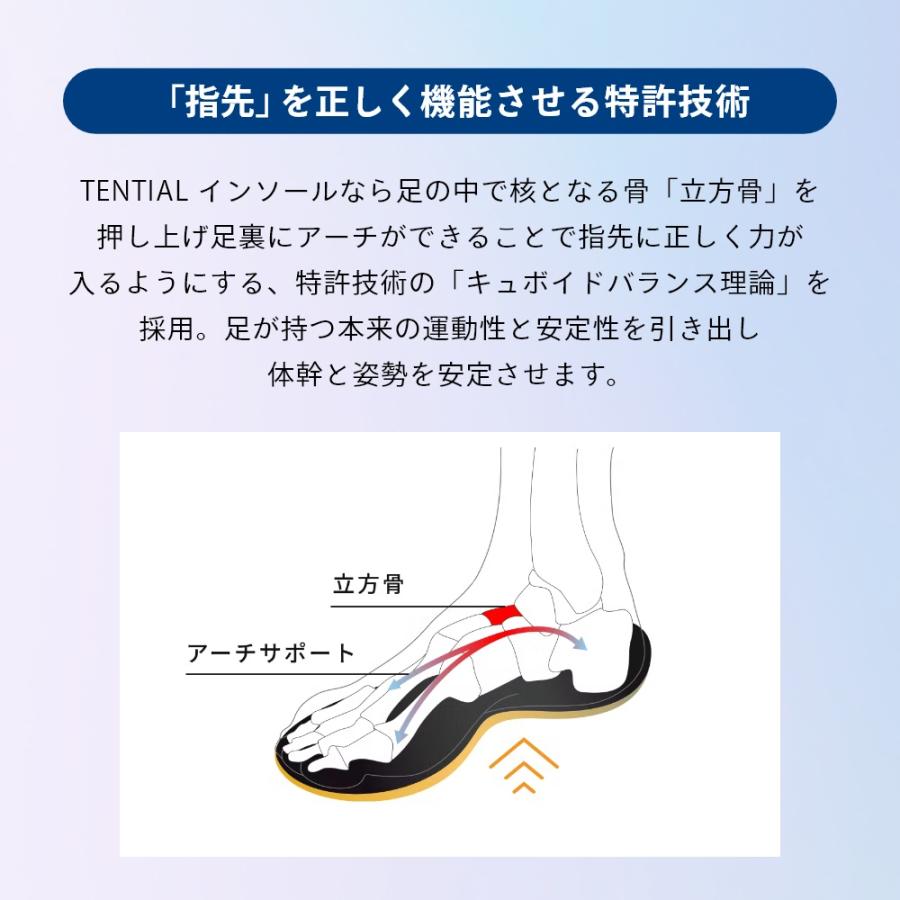 TENTIAL（テンシャル） INSOLE Lite インソール ライト メッシュ 父の
