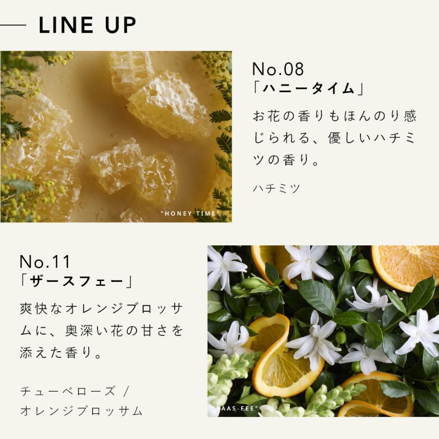 THE フレグランス バスボム ＆ バスパウダー 1回用 日本製 選べる11
