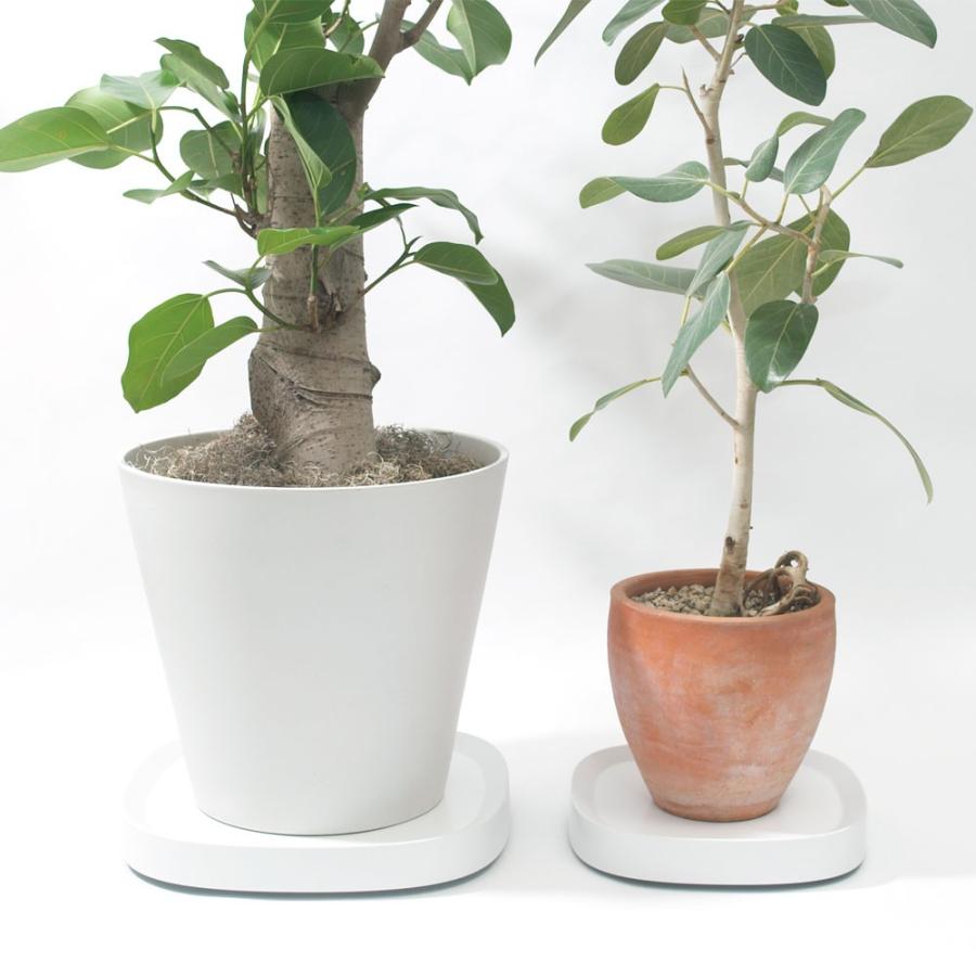 大型テラコッタ製円筒形植木鉢＋キャスター付きトレイ2点セット 楽天市場】植木鉢台 キャスター付き 植木鉢トレー おしゃれ